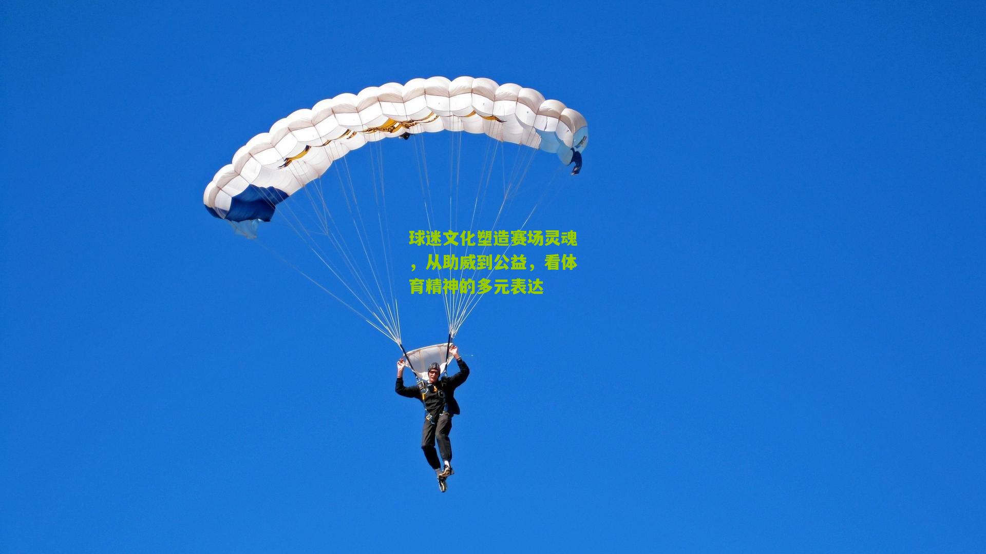 球迷文化塑造赛场灵魂,从助威到公益,看体育精神的多元表达